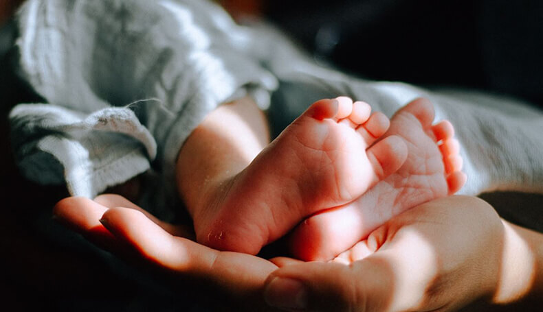 Egg Donation and Biological Connections